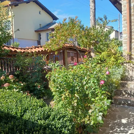 Guest Guest house *