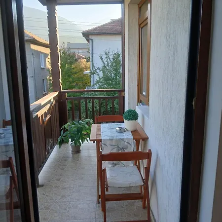 Guest Guest house *