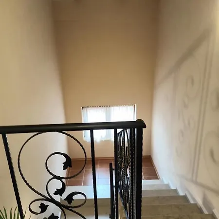 Guest *