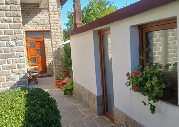 Guest 招待所 班斯科